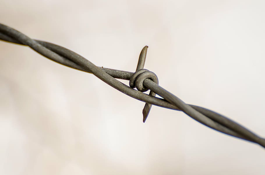 wire, fence, ranch, rustic, barbed, protection, border, secure HD wallpaper