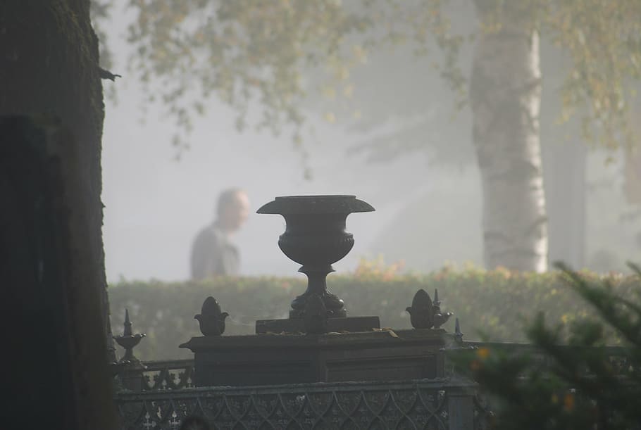 fog, cemetery, light, atmosphere, architecture, tree, day, built structure HD wallpaper