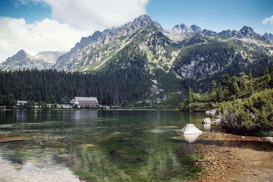 green trees covered mountains, calm body of water surrounded by tree near house on the foot of mountain HD wallpaper