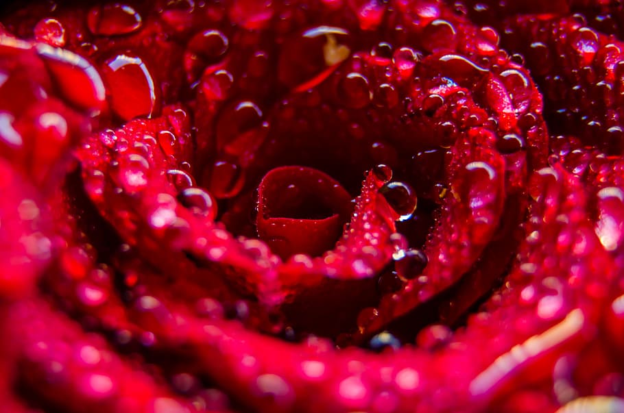 nature, art, water, texture, abstract, beautiful, bloom, blooming HD wallpaper