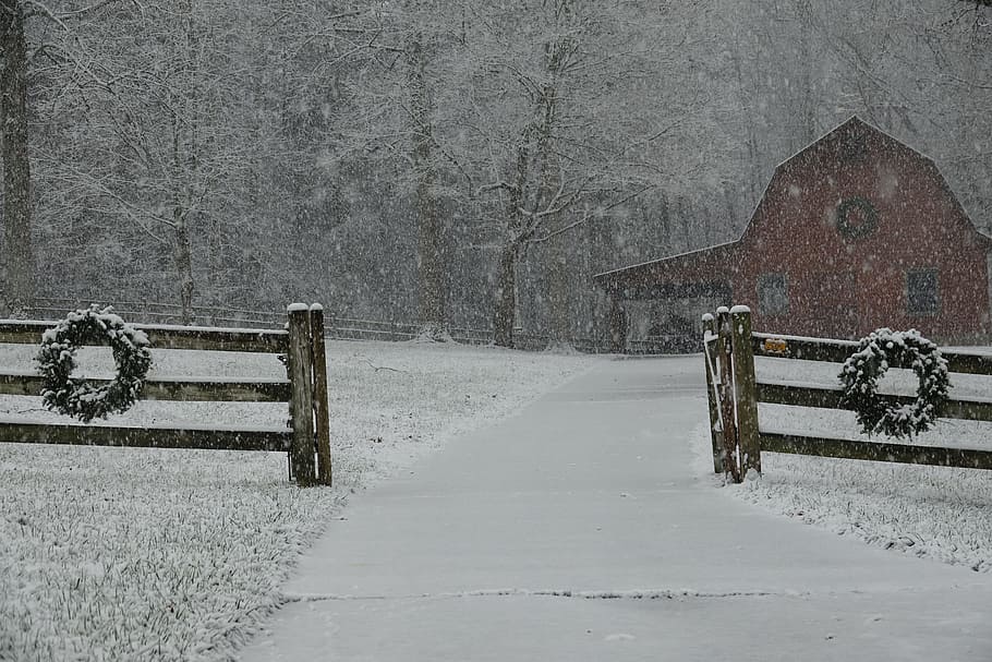 winter, snow, barn, holiday, christmas, cold temperature, snowing HD wallpaper
