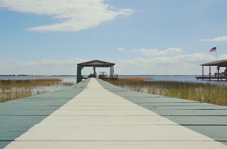 white and grey wooden dock, brown, green, board, walk, path HD wallpaper