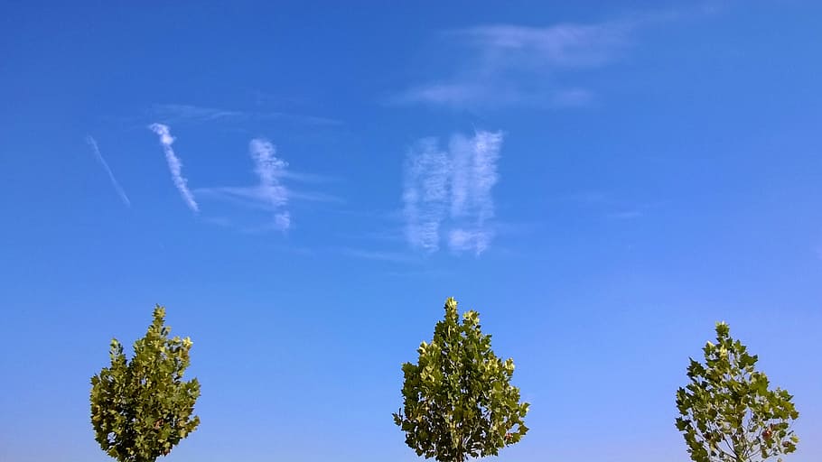 sky, cloud, the scenery, blue, tree, plant, cloud - sky, nature HD wallpaper