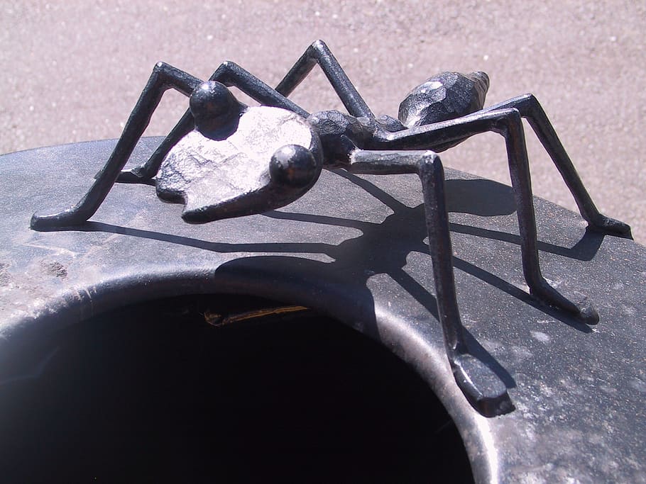 ant, artwork, crap bucket, waste bins, metal, iron, symbol, HD wallpaper