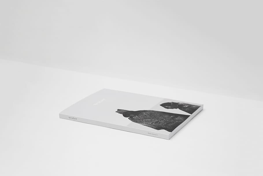 book, read, knowledge, studio shot, white background, copy space HD wallpaper