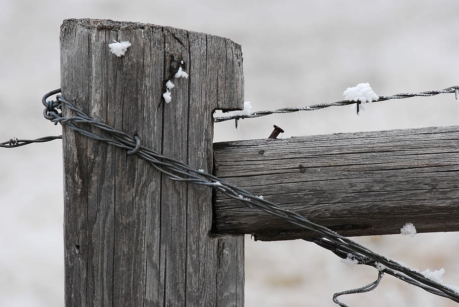 grayscale photo of wooden post with barbed wires, selective focus photography brown wooden fence post with barbed wire