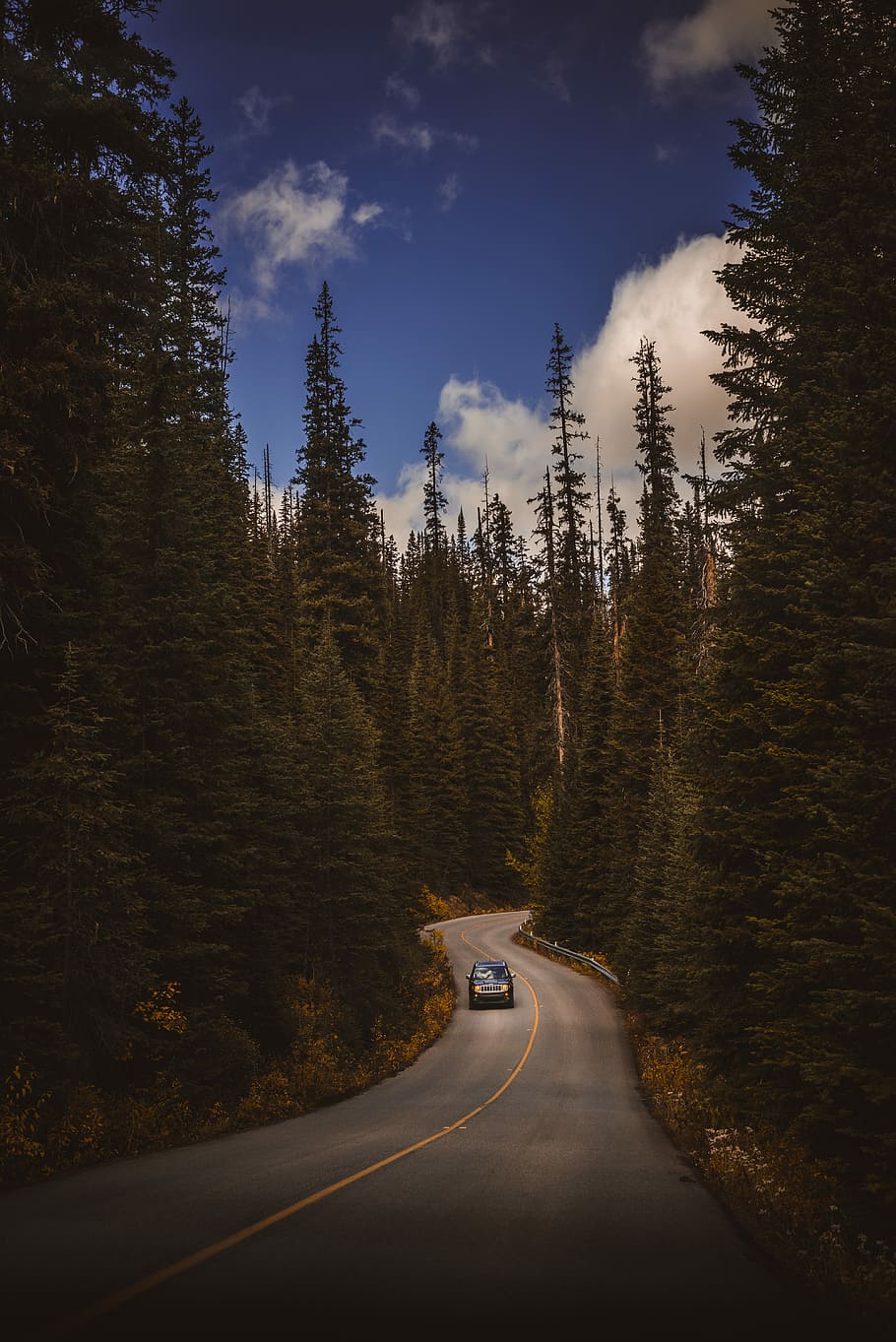 black car on gray asphalt road surrounded by green forest during daytime, black SUV on road between trees HD wallpaper