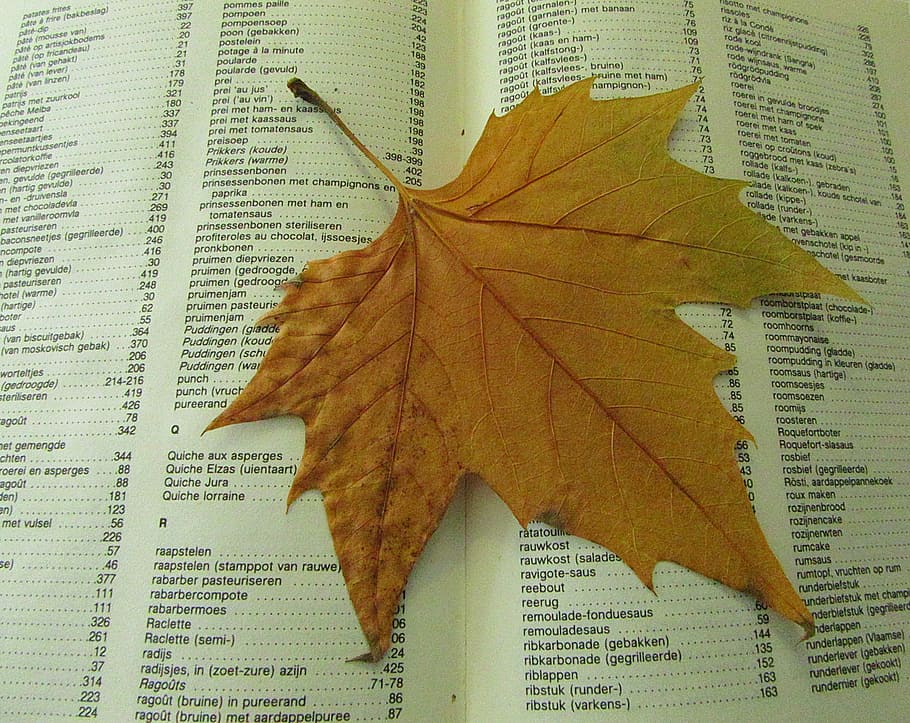 autumn leaf, drying, dead, book, save, season, veins, autumn leaves HD wallpaper
