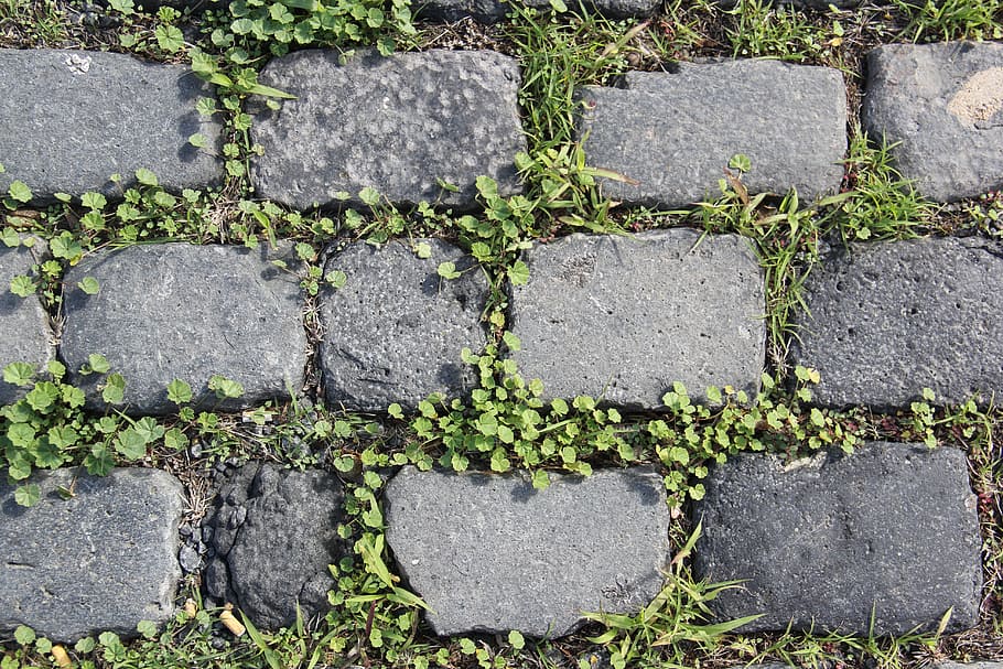 gray concrete brick pathway at daytime, stones, background HD wallpaper