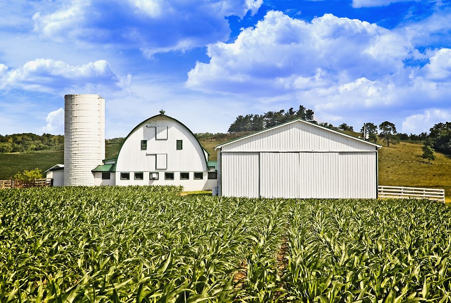 barn, rustic, barns, ohio, digital art, rural, scenic, country HD wallpaper