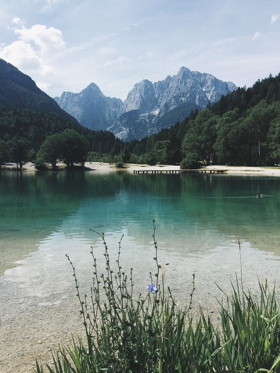calm body of water surrounded with trees and mountain, body of water near trees and mountain HD wallpaper