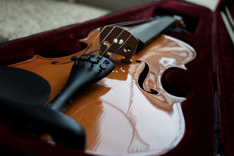 violin bridge, instrument, string, wood, brown, f-hole, music