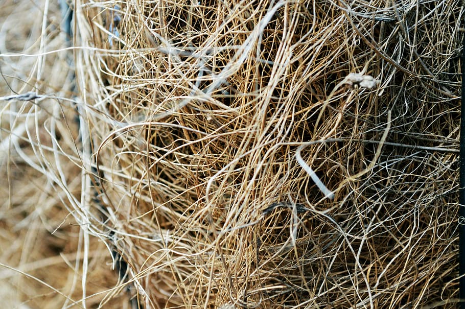 straw, texture, pattern, natural, nature, design, material HD wallpaper