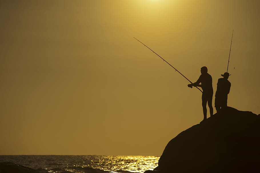 action, backlit, beach, dawn, dusk, evening, fishing, fishing rod HD wallpaper