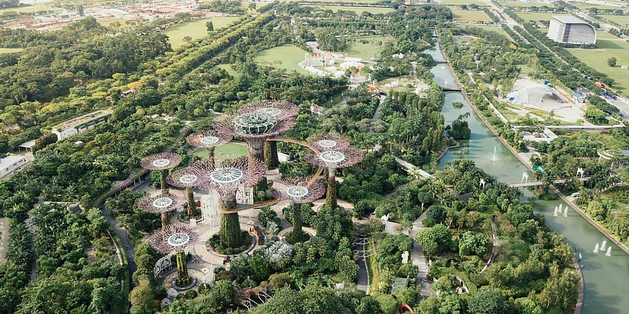 eagle eyes view of landmark during daytime, Gardens by the Bay HD wallpaper