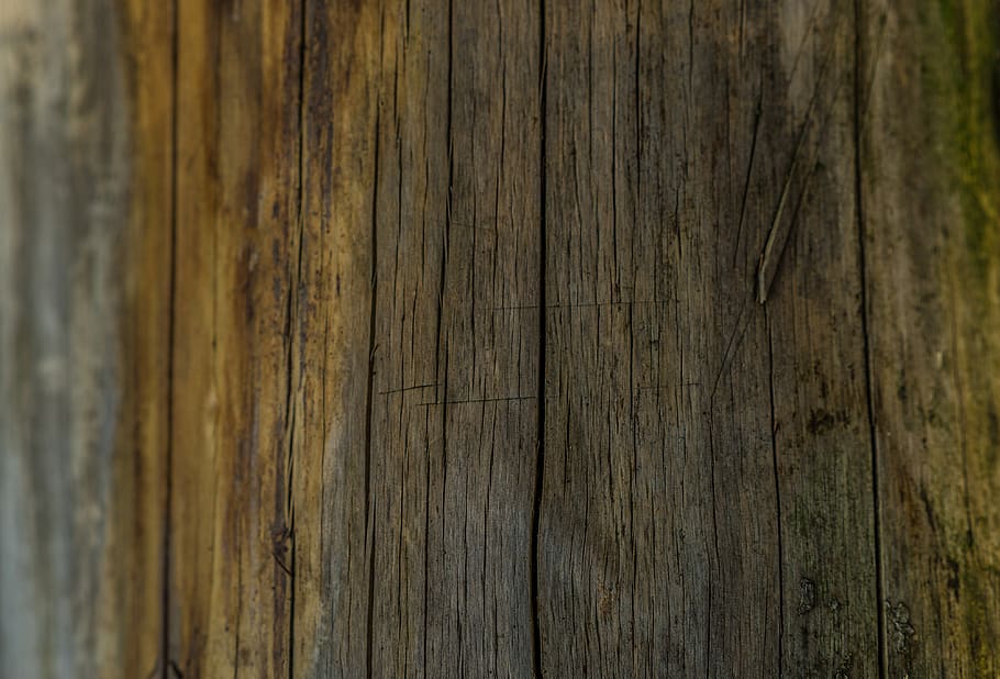 texture, wood, wall, yellow, structure, background, wood texture HD wallpaper