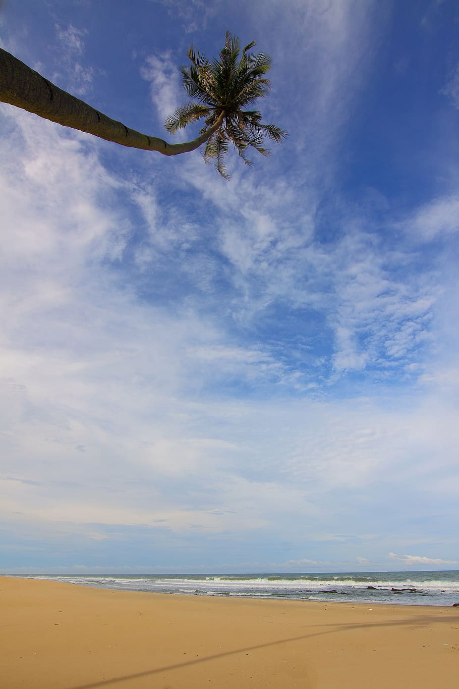 beach, clouds, coconut tree, daylight, island, landscape, nature HD wallpaper