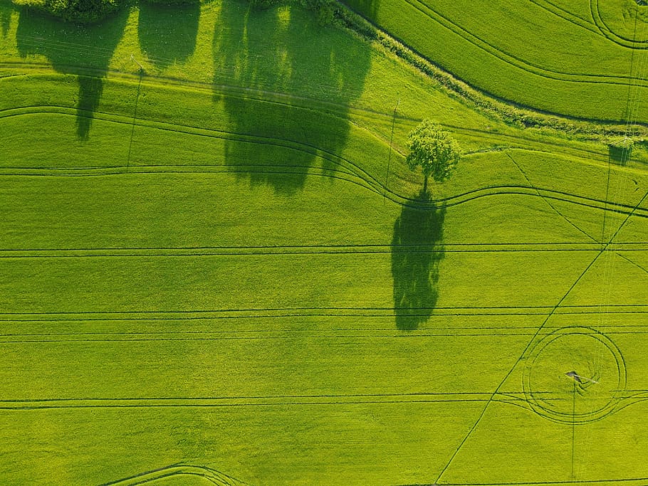 aerial photography of green field, aerial photography of grass field HD wallpaper