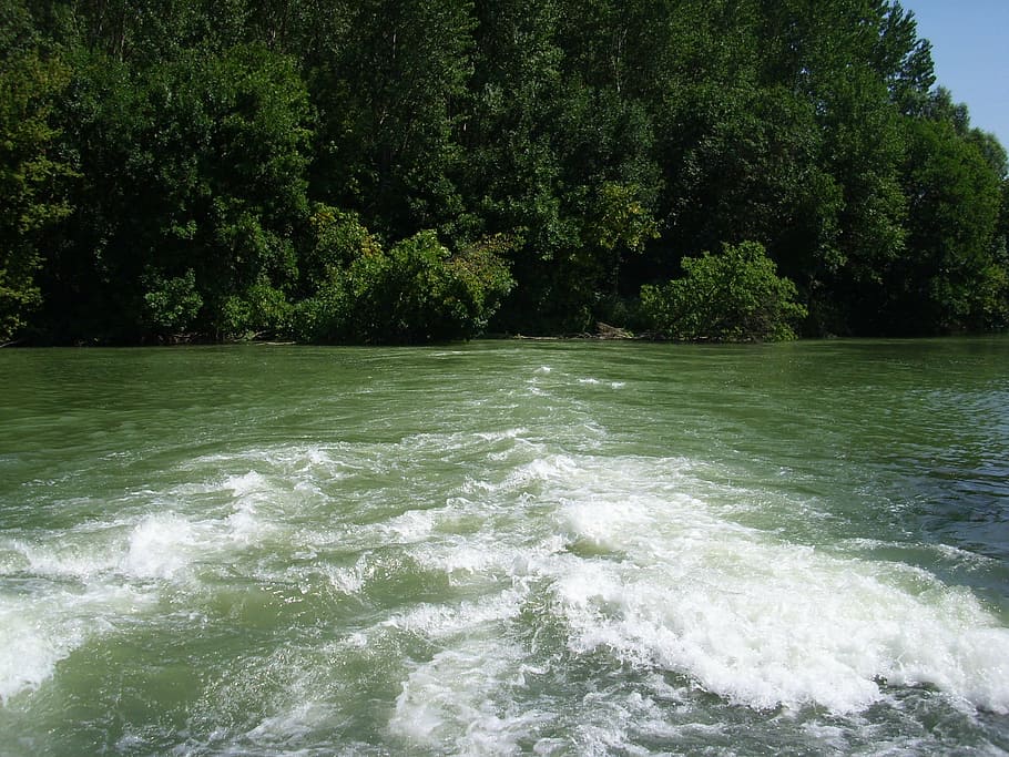 current, flow, price, stream, water, forest, landscape, nature HD wallpaper