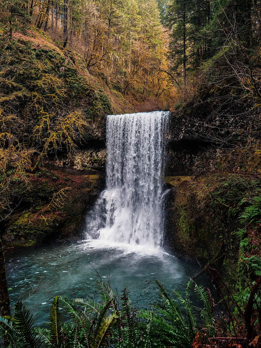 scenery of waterfalls, waterfall surrounded by forest, cliff HD wallpaper