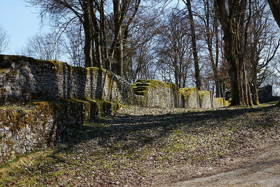 ruin, wall, park, castle, honing mountain, tuttlingen, germany HD wallpaper