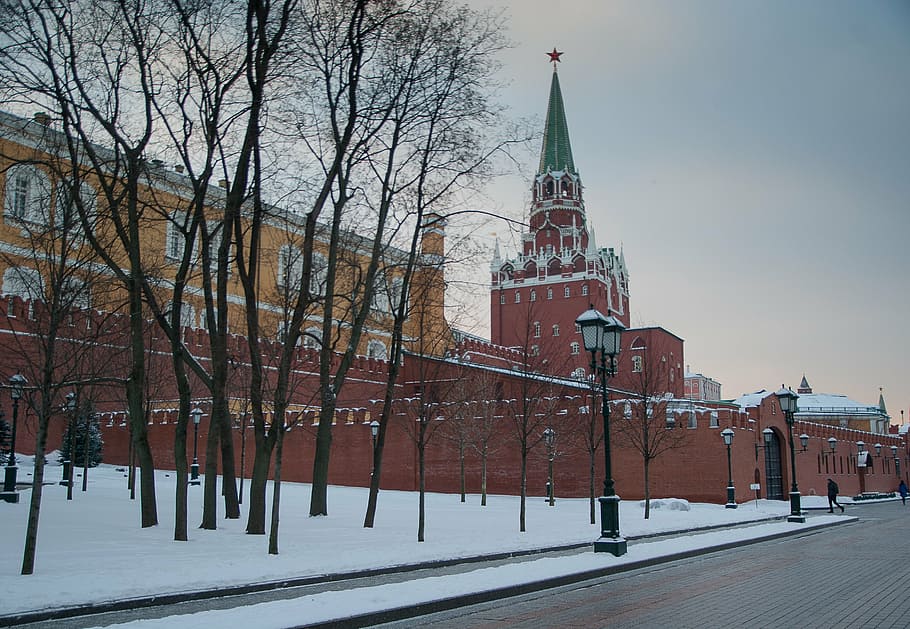 moscow, wall, kremlin, tower, winter, bare tree, snow, cold temperature HD wallpaper