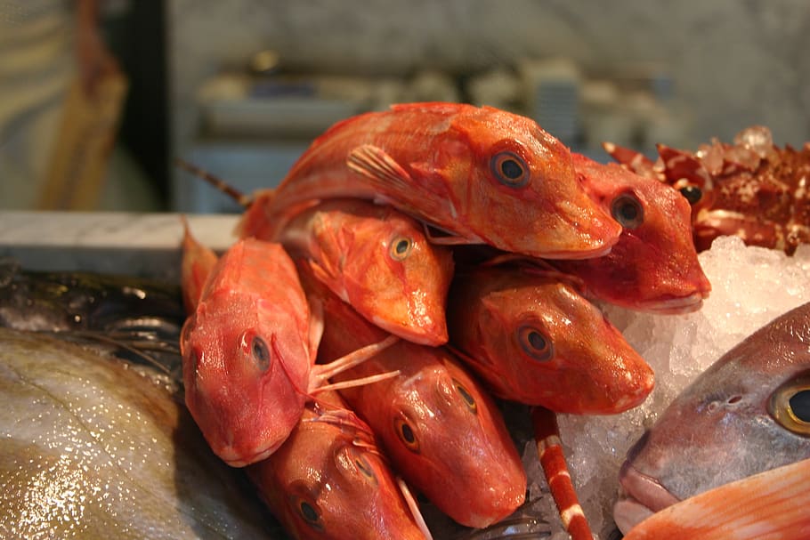 seafood, fish, animal, food and drink, close-up, retail, no people HD wallpaper