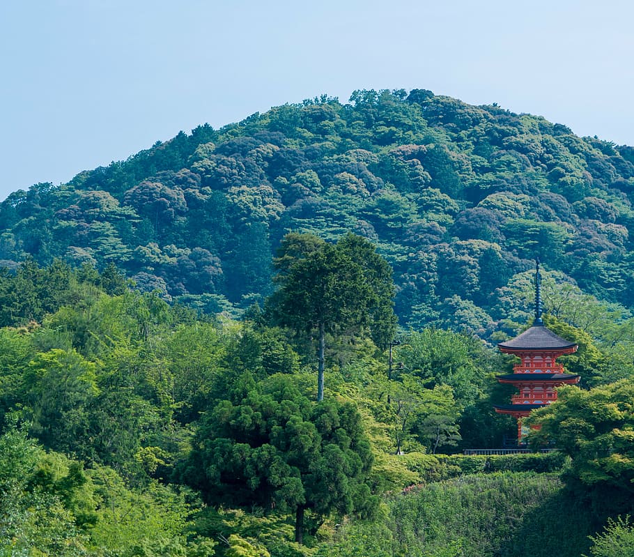 kyoto, japan, mountains, landscape, kiyomizu temple, asia, japanese, HD wallpaper