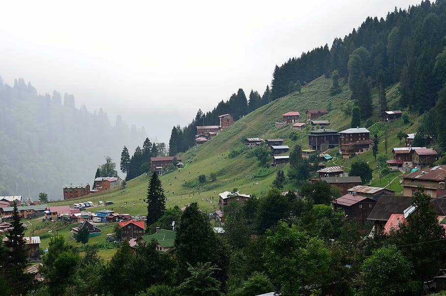 turkey, eastern black sea, rize, ayder, plateaus, kaçkars