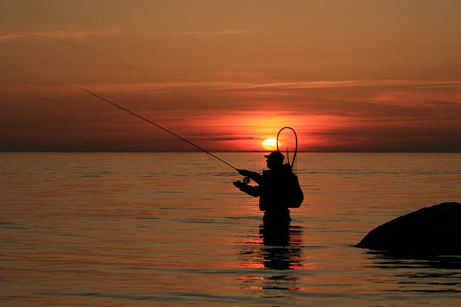 angler, time out, sunset, fishing rod, sea, catch fish, sea trout