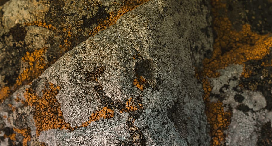 weave, stone, orange, close, textured, close-up, tree trunk HD wallpaper