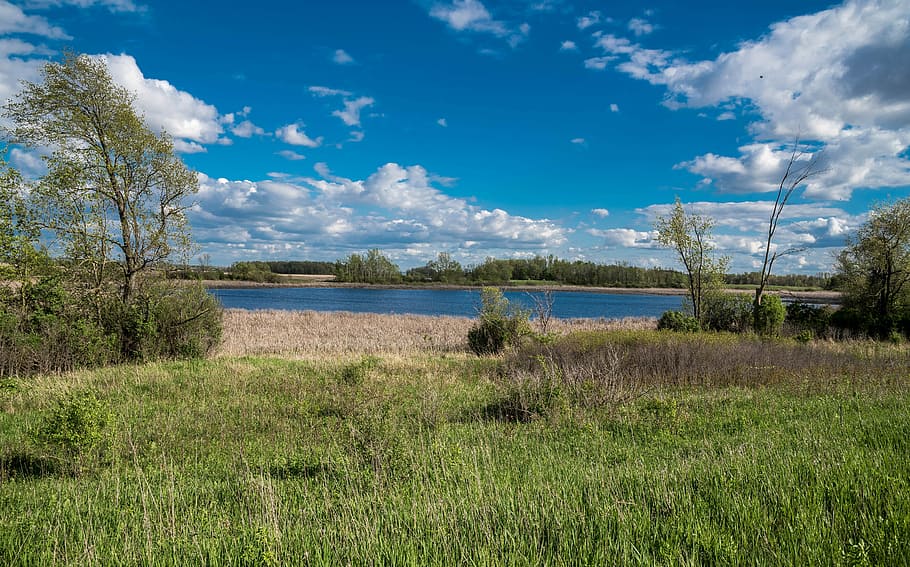 Landscape of the Marsh, clouds, photos, horicon marsh, landscapes HD wallpaper