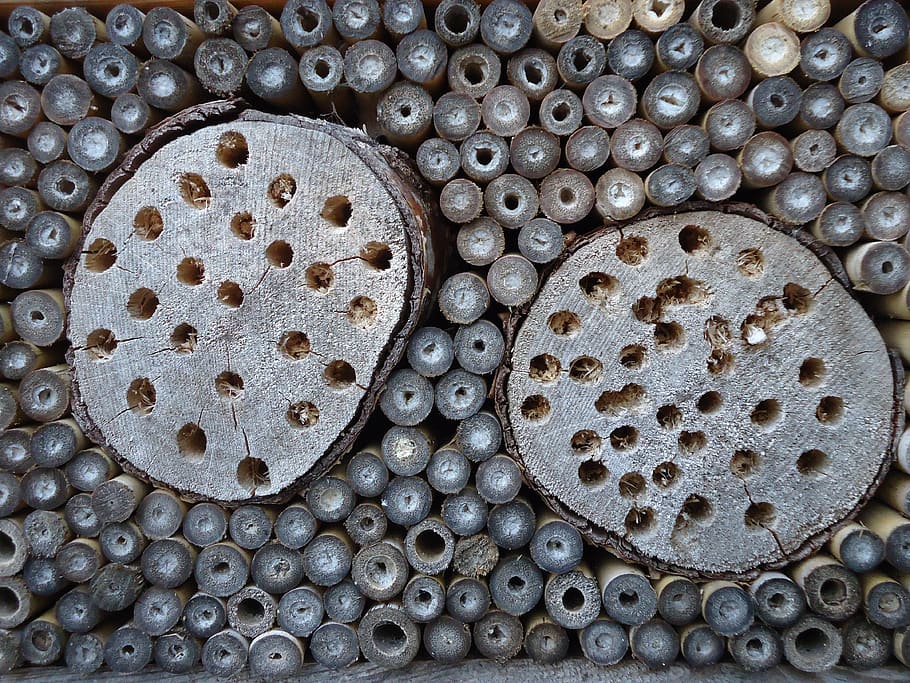 background, circles, insect hotel, insects, wood, full frame HD wallpaper