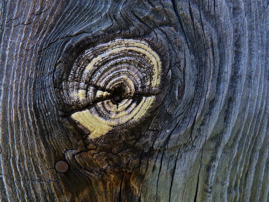 wood, board, node, concentric, old, wood - Material, backgrounds HD wallpaper