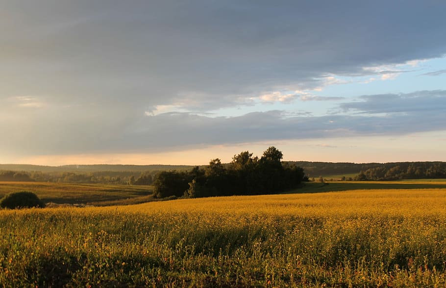 Nature, Sunset, Clouds, Silence, summer, grass, evening, landscape HD wallpaper