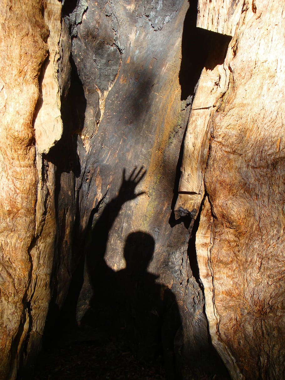 shadow of man on rock formation, tree, trust, greeting, adventure HD wallpaper