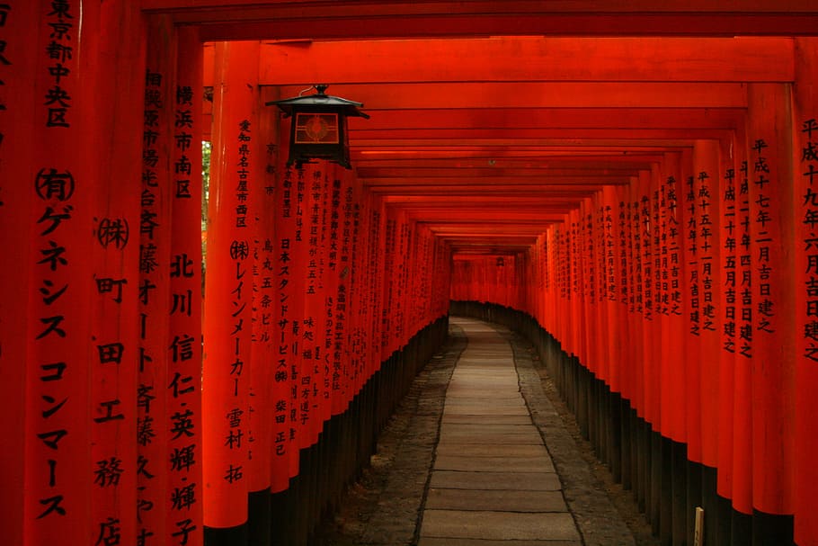 Thousand Gates, japan, tori, asia, shrine, buddhism, religion, HD wallpaper