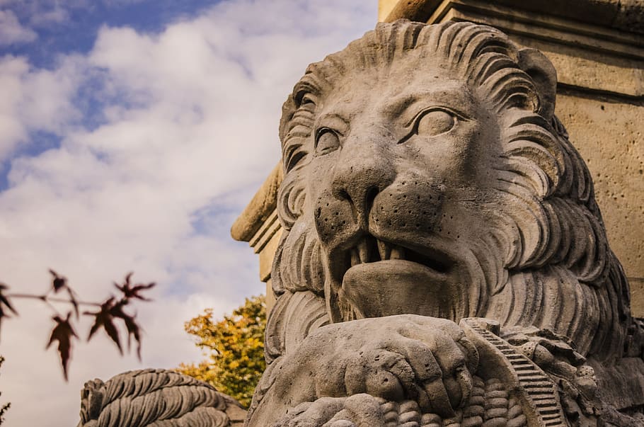 lion, statue, closeup, sculpture, art and craft, representation HD wallpaper