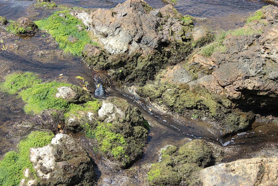 Creek, Rocks, Stream, River, Nature, landscape, outdoor, australia HD wallpaper