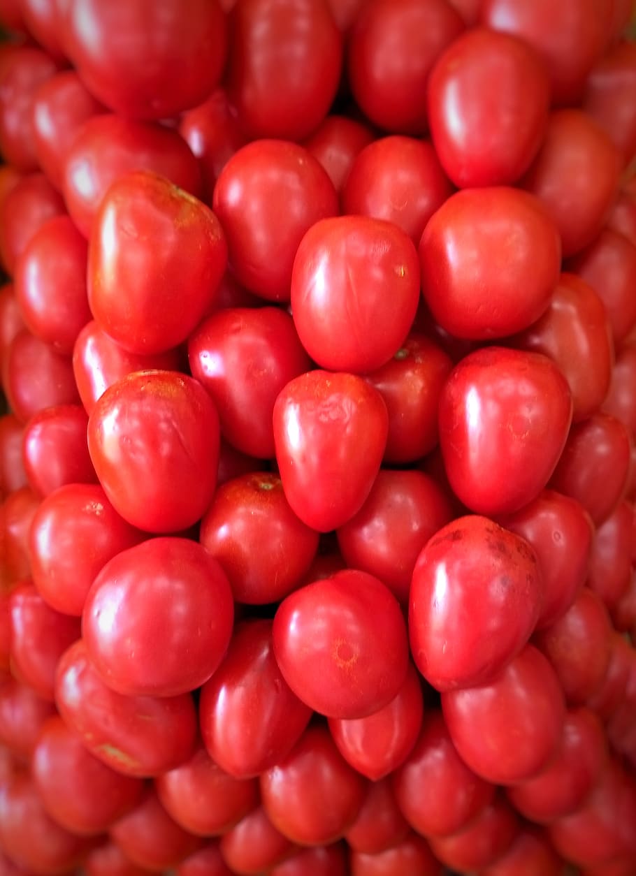 tomato, vegetable, ecological, natural, red, food, healthy eating HD wallpaper