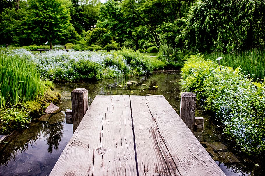brown wooden dock on body of water, outdoors, nature, summer HD wallpaper