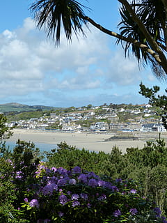 england, cornwall, mount, st michael, outlook, view, park, garden HD wallpaper