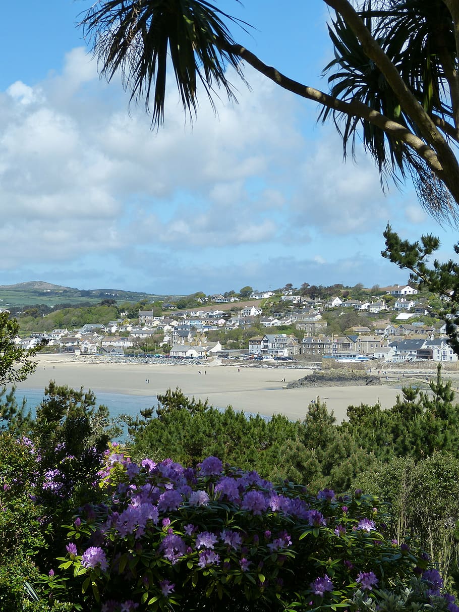 england, cornwall, mount, st michael, outlook, view, park, garden HD wallpaper