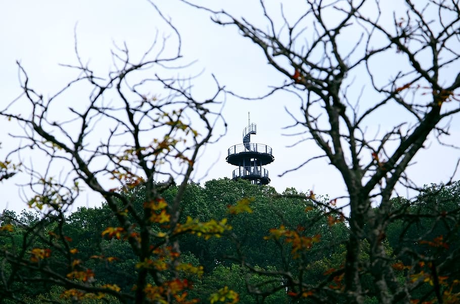 observation tower, observation post, outlook, distant, autumn HD wallpaper