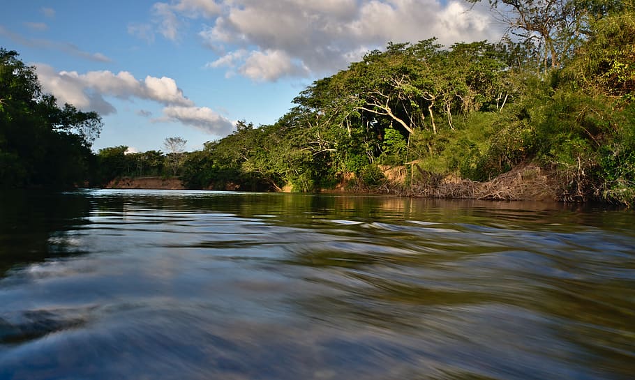 rapid, water, flow, stream, strong, dangerous, river, motion HD wallpaper