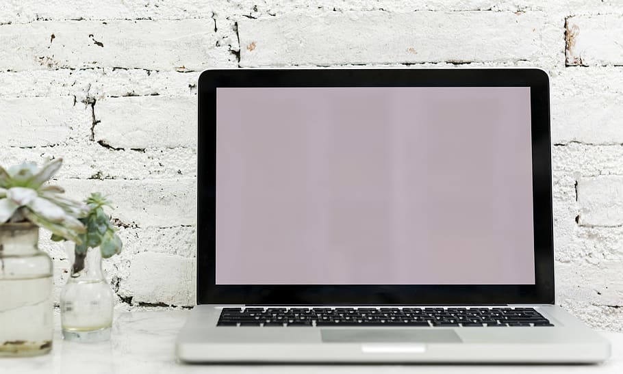 laptop beside glass vase, computer, notebook, device, blank screen HD wallpaper