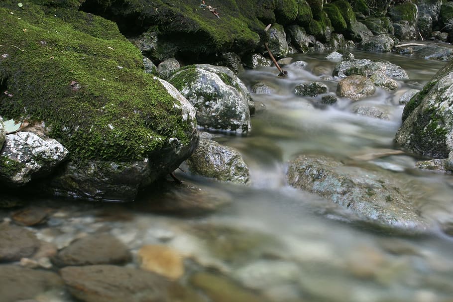 bach, water, nature, forest, moss, gorge, landscape, flow, clear HD wallpaper