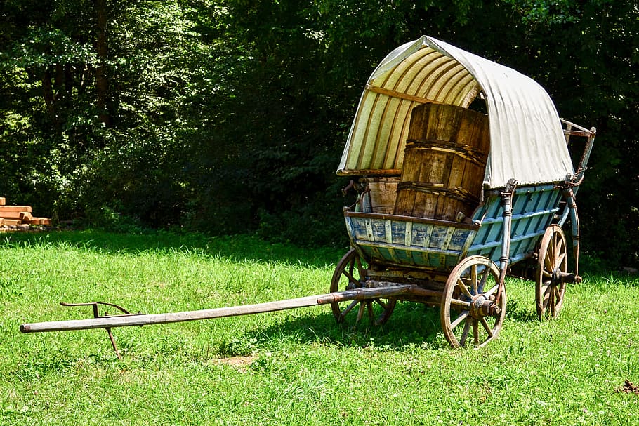 Carriage, Old, Traditional, Train, rural Scene, outdoors, grass HD wallpaper