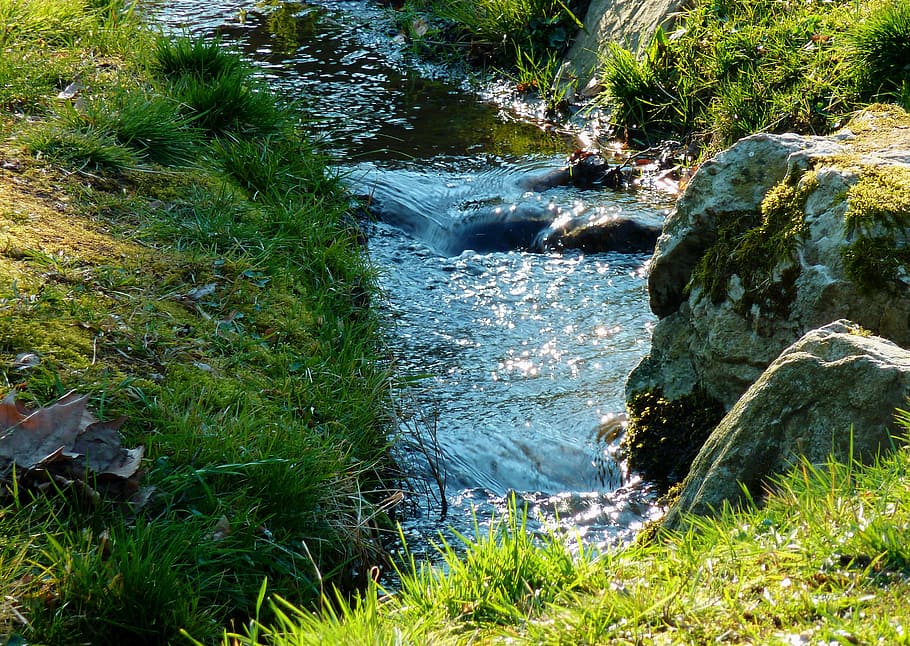 bach, creek, brook, trees, embankment, recovery, rock, flow HD wallpaper