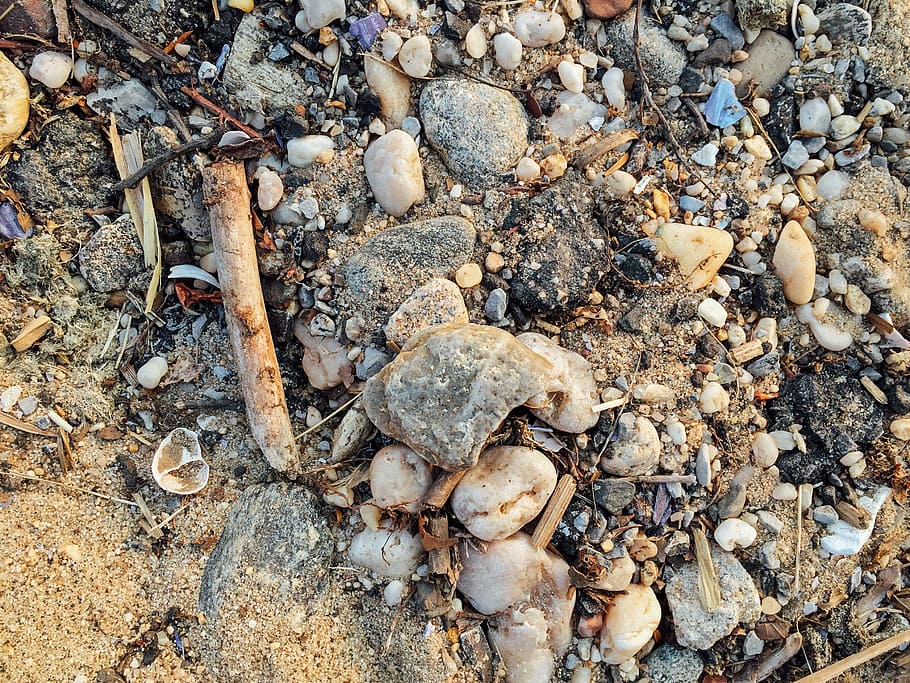 HD wallpaper: Shells and Rocks on Sand, beach, stones, Beaches, Macro ...